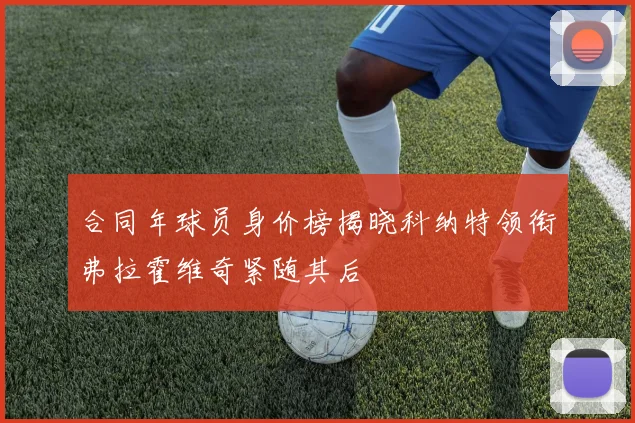 合同年球员身价榜揭晓科纳特领衔弗拉霍维奇紧随其后